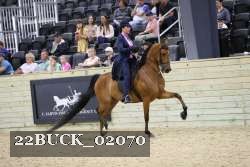 22BUCK_02070 proof