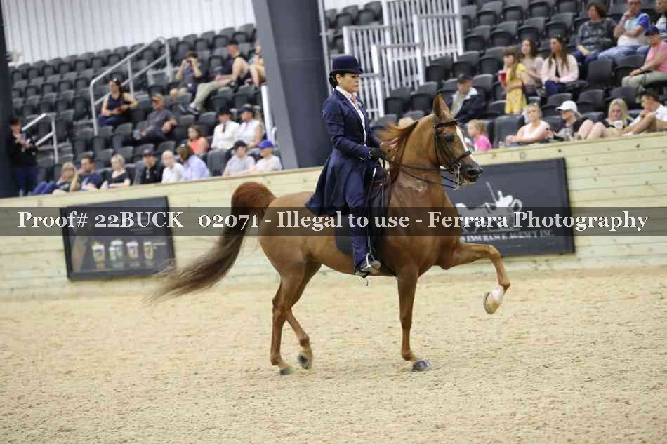 Proof 22BUCK_02071