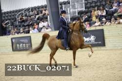 22BUCK_02071 proof