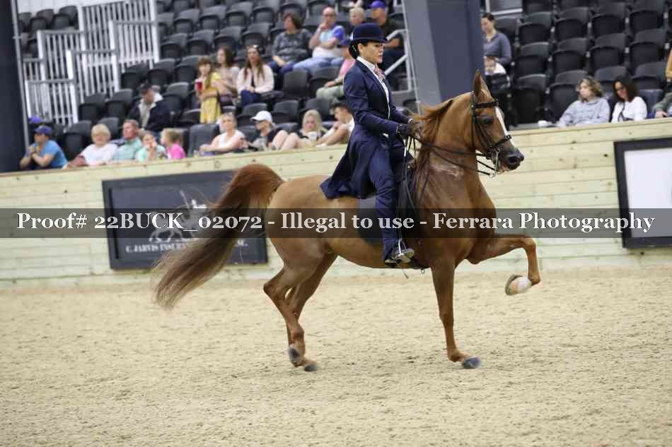 Proof 22BUCK_02072