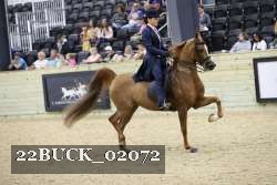 22BUCK_02072 proof