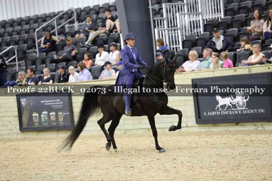 Proof 22BUCK_02073