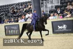 22BUCK_02073 proof