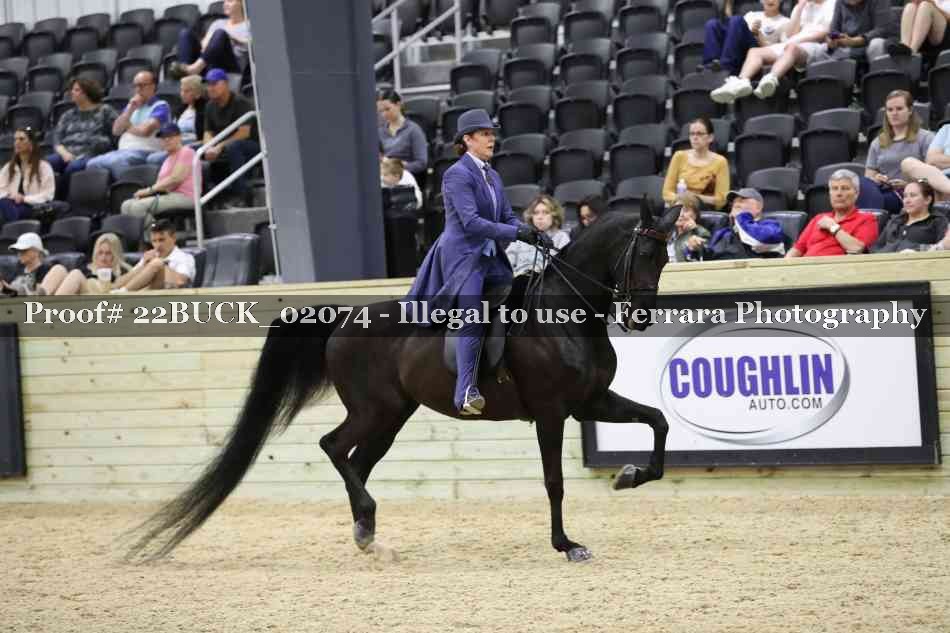 Proof 22BUCK_02074
