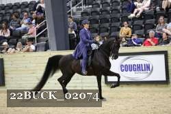 22BUCK_02074 proof