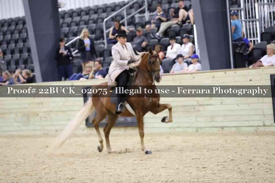 Proof 22BUCK_02075
