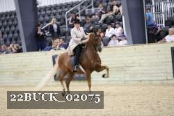22BUCK_02075 proof