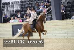 22BUCK_02076 proof