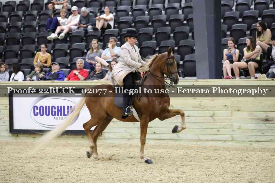 Proof 22BUCK_02077