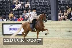 22BUCK_02077 proof