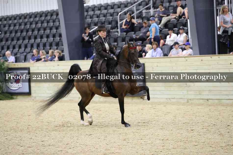 Proof 22BUCK_02078