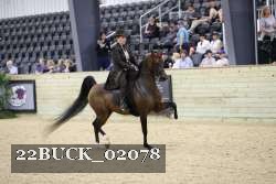 22BUCK_02078 proof