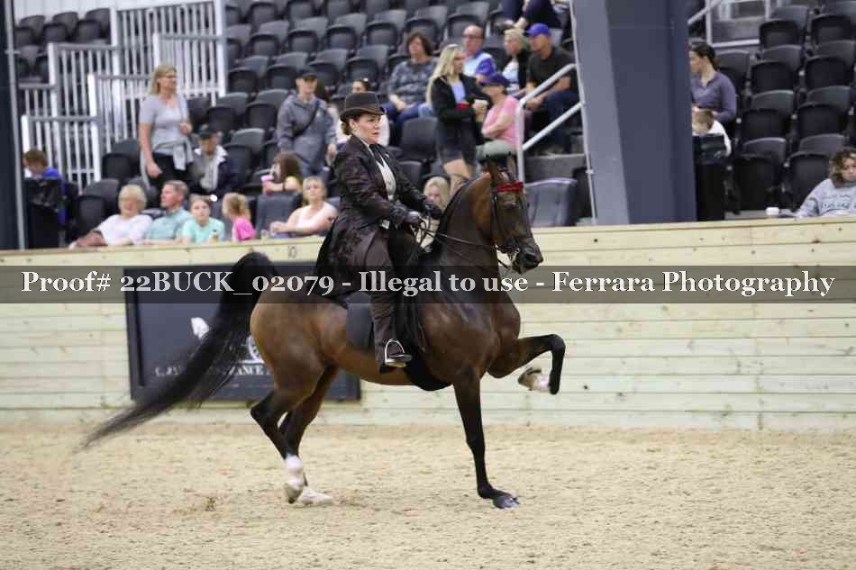 Proof 22BUCK_02079