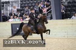 22BUCK_02079 proof