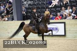 22BUCK_02080 proof