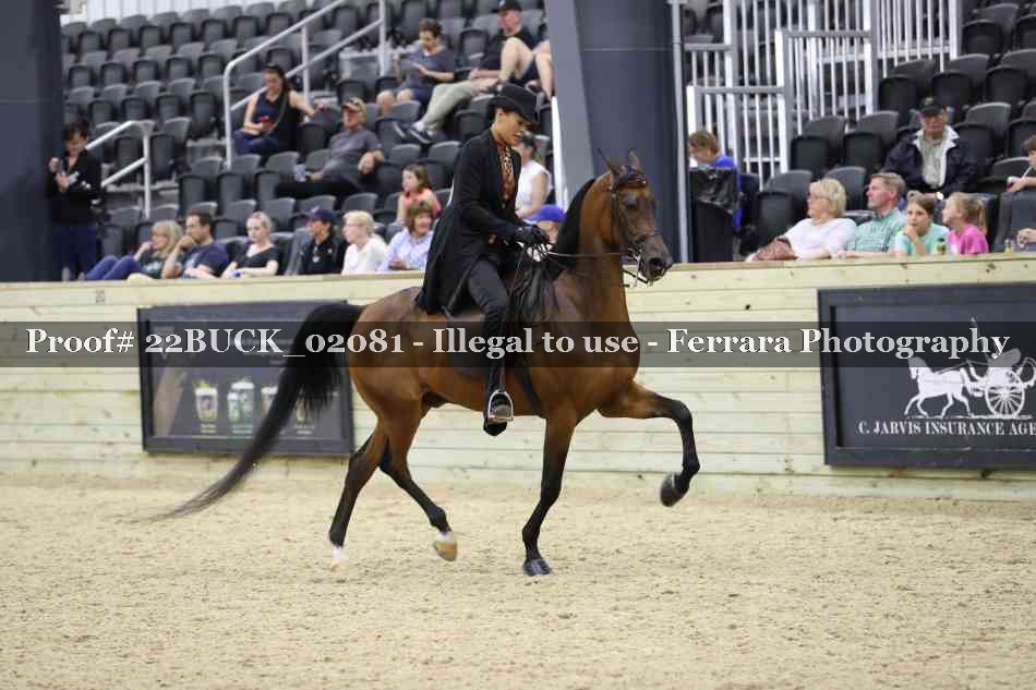 Proof 22BUCK_02081