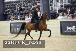 22BUCK_02081 proof