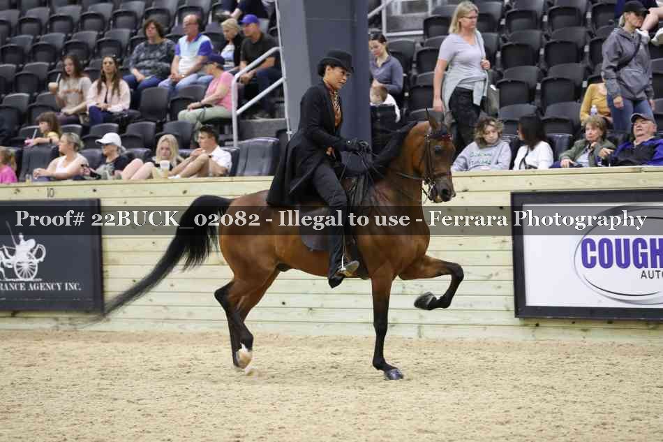 Proof 22BUCK_02082