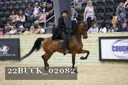 22BUCK_02082 proof