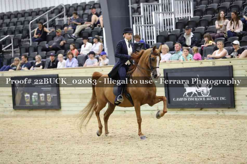 Proof 22BUCK_02083