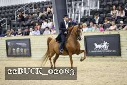 22BUCK_02083 proof