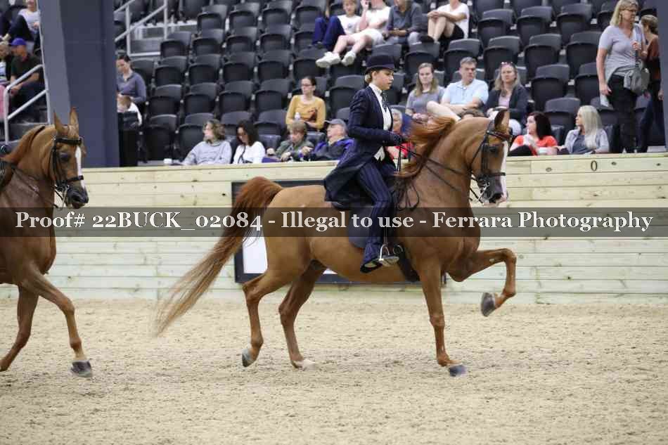 Proof 22BUCK_02084