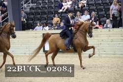 22BUCK_02084 proof