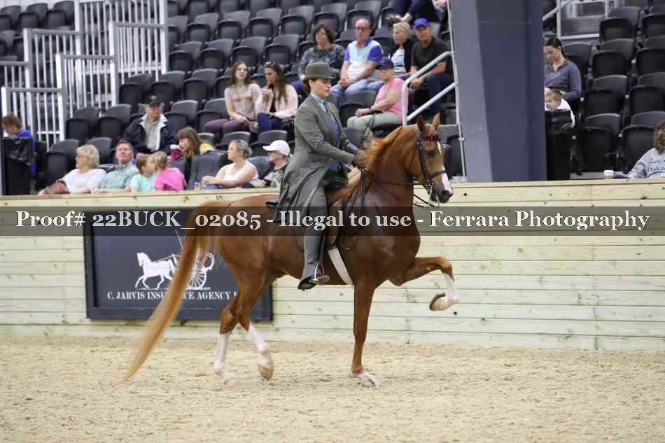 Proof 22BUCK_02085