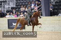 22BUCK_02085 proof