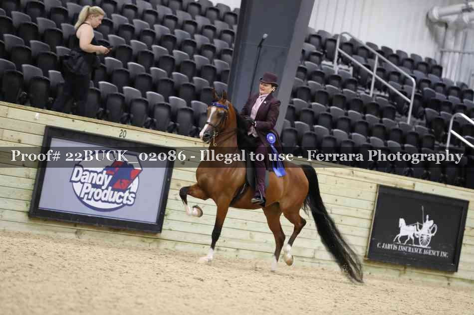 Proof 22BUCK_02086