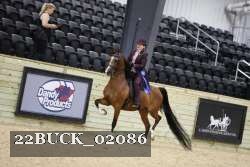 22BUCK_02086 proof