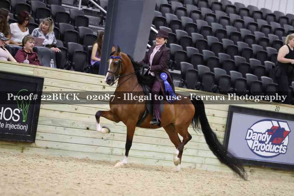 Proof 22BUCK_02087