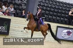 22BUCK_02087 proof