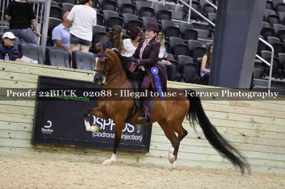 Proof 22BUCK_02088
