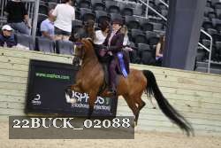 22BUCK_02088 proof