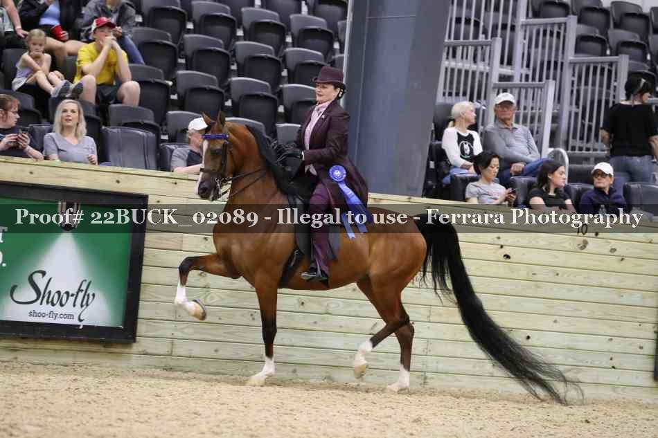 Proof 22BUCK_02089