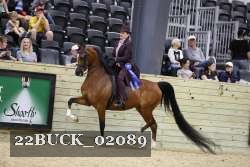 22BUCK_02089 proof