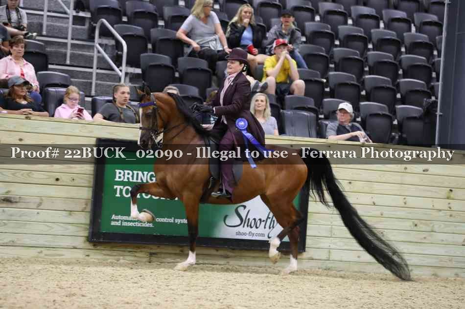 Proof 22BUCK_02090