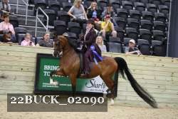 22BUCK_02090 proof
