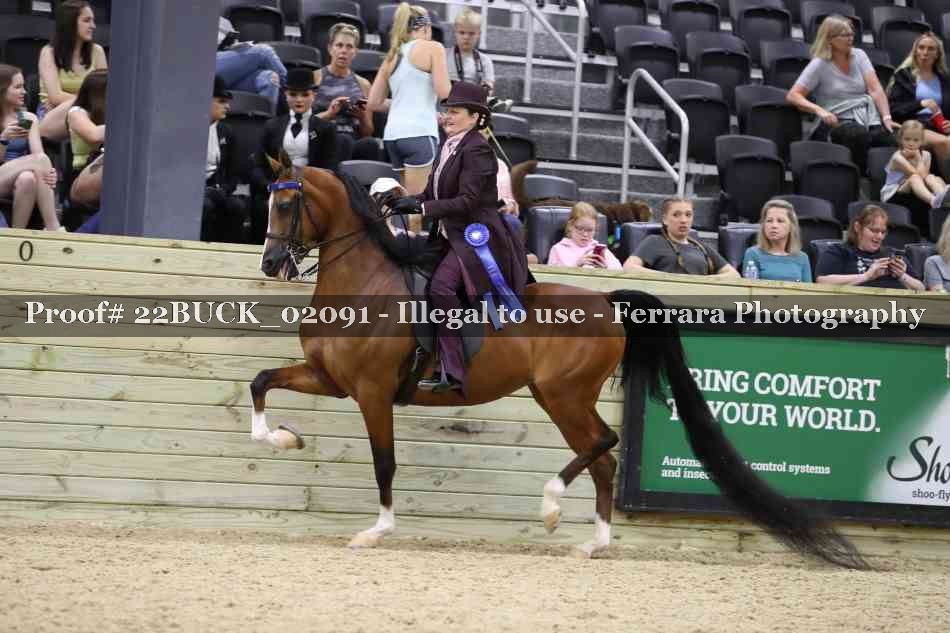 Proof 22BUCK_02091