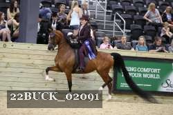 22BUCK_02091 proof