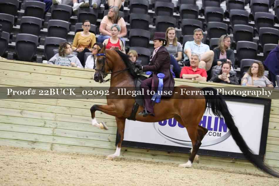 Proof 22BUCK_02092