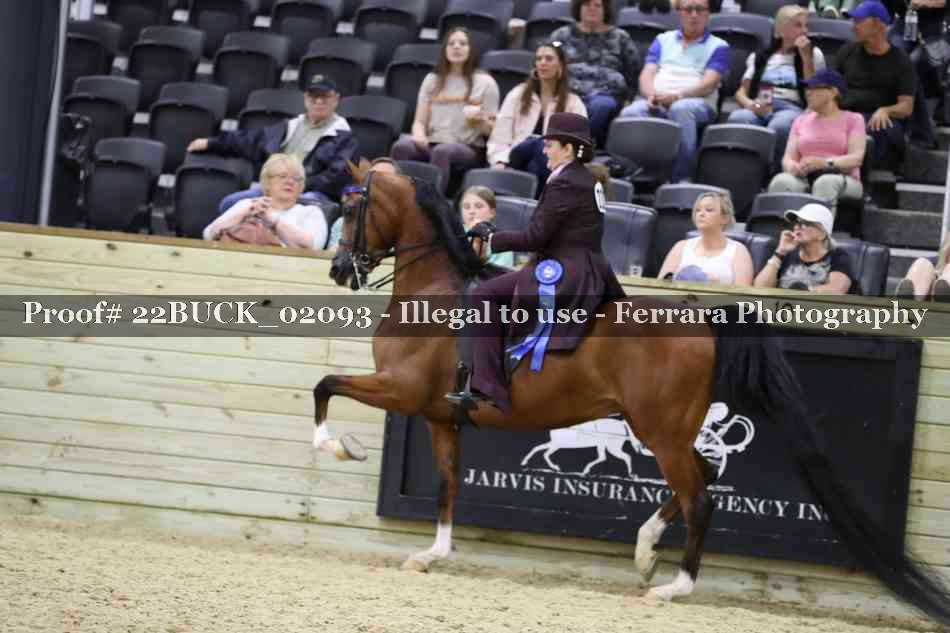 Proof 22BUCK_02093