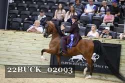 22BUCK_02093 proof