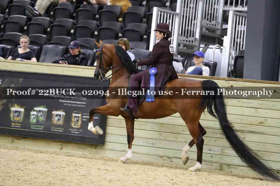 Proof 22BUCK_02094