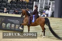 22BUCK_02094 proof