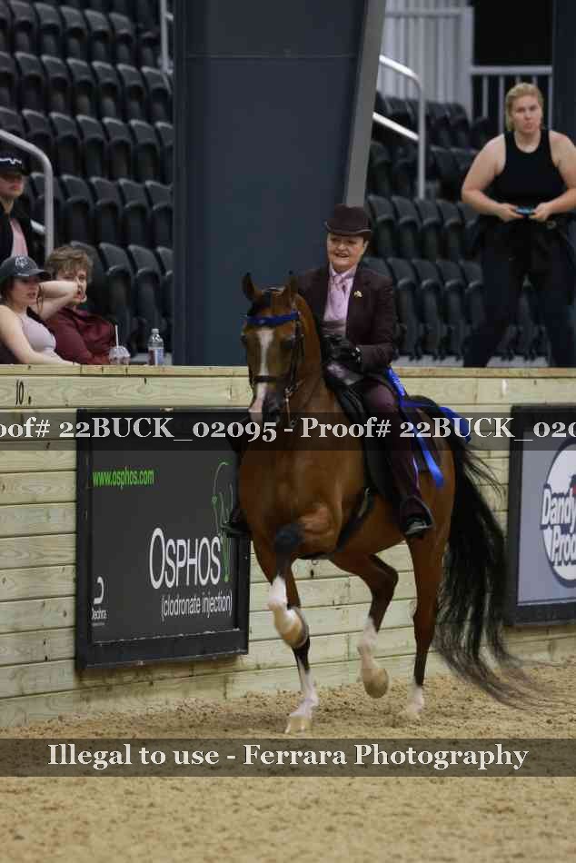 Proof 22BUCK_02095