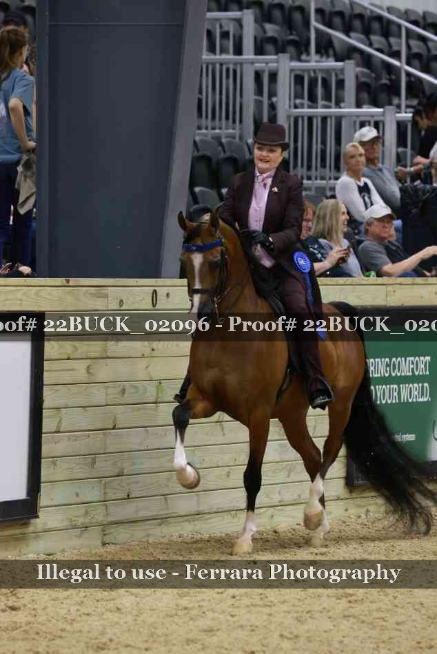 Proof 22BUCK_02096