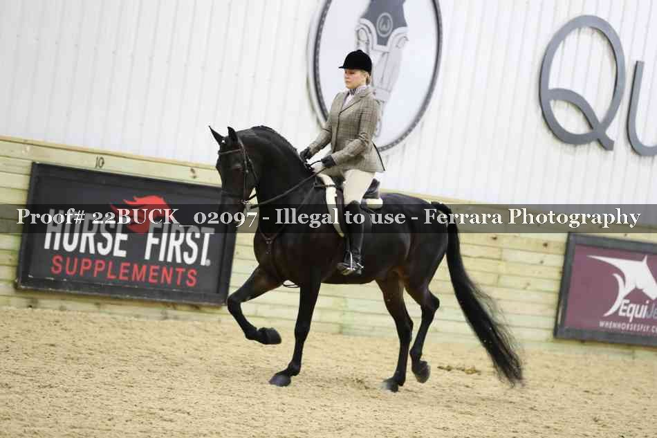 Proof 22BUCK_02097