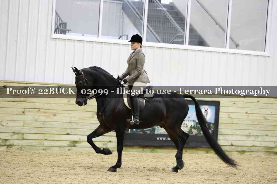 Proof 22BUCK_02099
